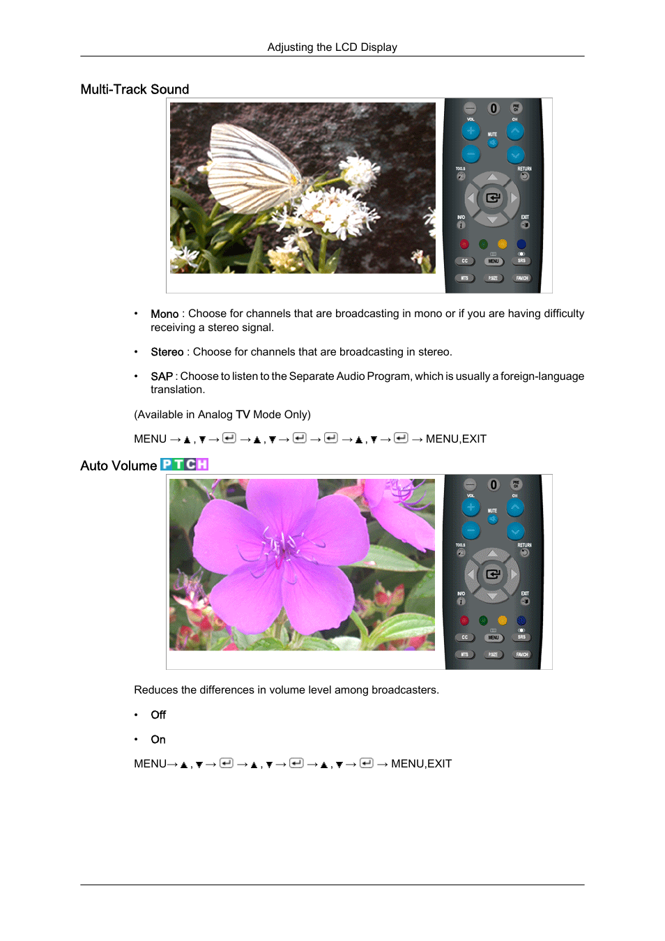 Multi-track sound, Auto volume | Samsung LS23CFUKFV-ZA User Manual | Page 48 / 88