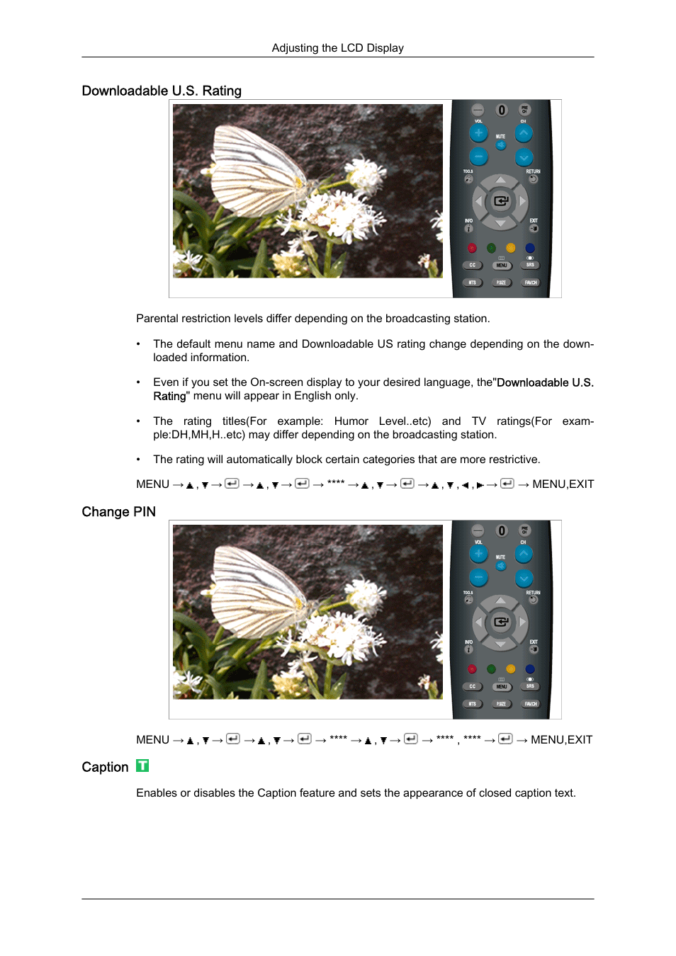 Downloadable u.s. rating, Change pin, Caption | Samsung LS23CFUKFV-ZA User Manual | Page 60 / 88