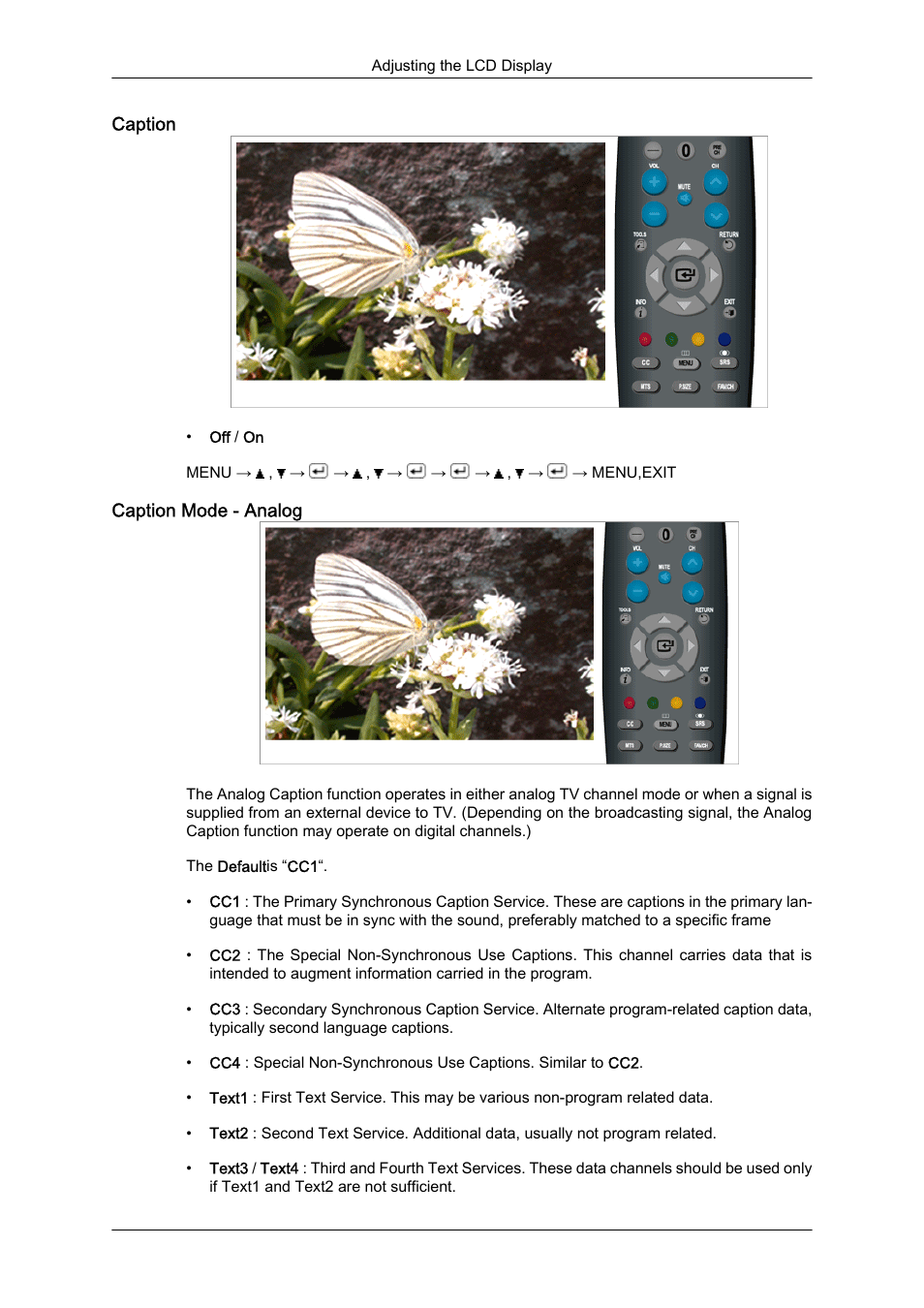 Caption, Caption mode - analog | Samsung LS23CFUKFV-ZA User Manual | Page 61 / 88