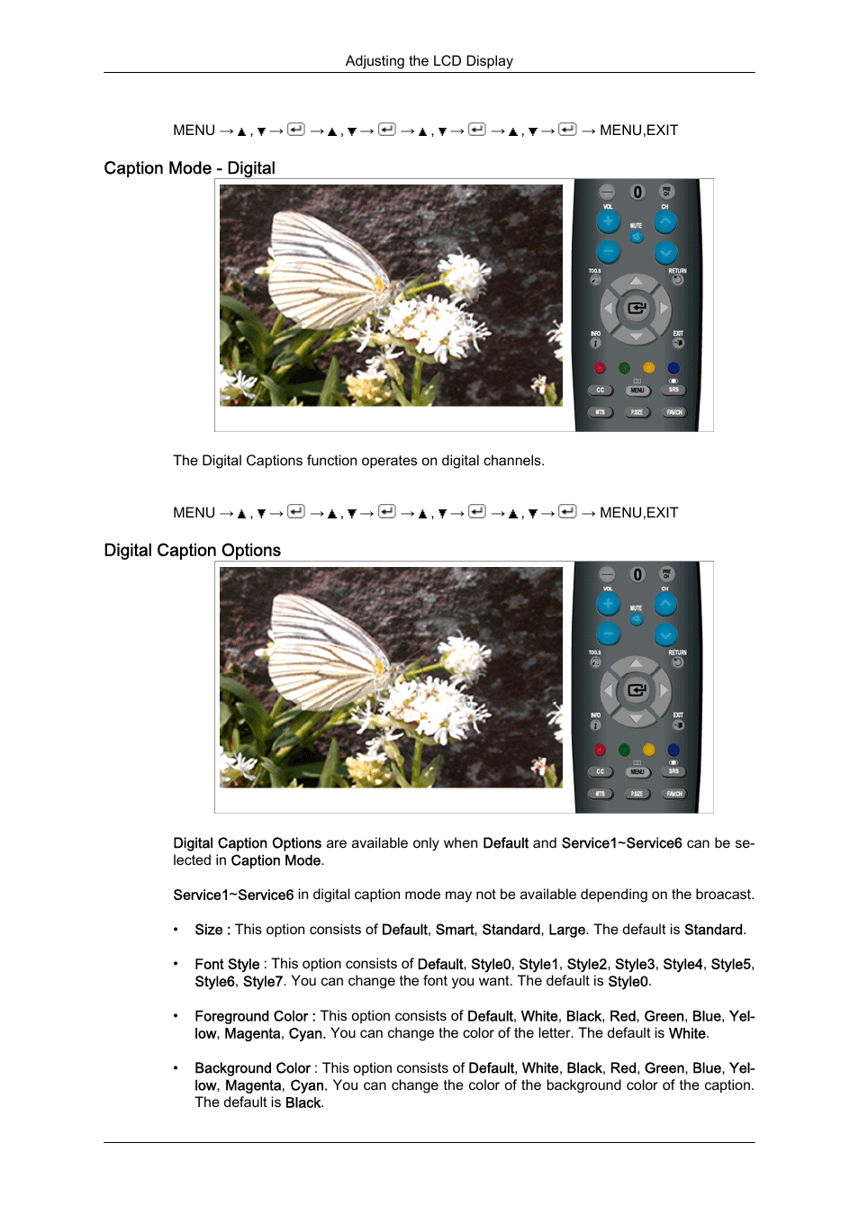 Caption mode - digital, Digital caption options | Samsung LS23CFUKFV-ZA User Manual | Page 62 / 88