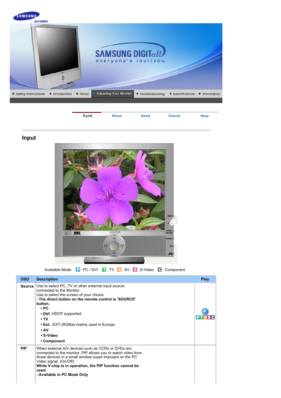 Adjusting your monitor, Input | Samsung RT19FSSS User Manual | Page 29 / 60
