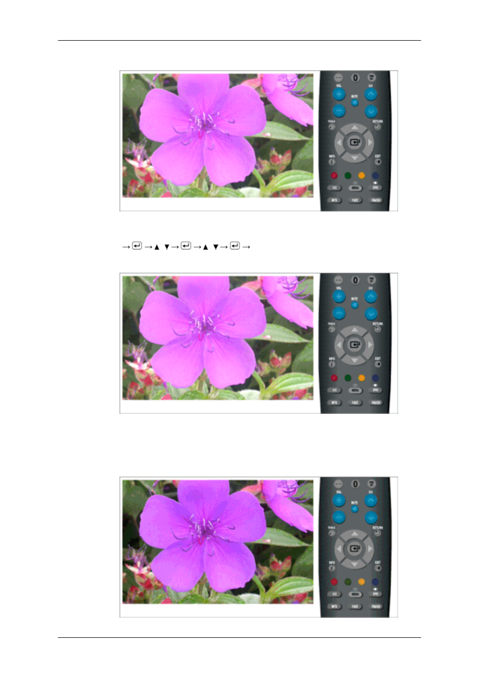 Image reset, Resolution, Picture options | Color tone | Samsung LS23CFUKFV-ZA User Manual | Page 40 / 86