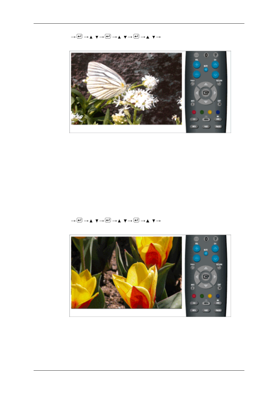 Digital nr, Hdmi black level | Samsung LS23CFUKFV-ZA User Manual | Page 45 / 86