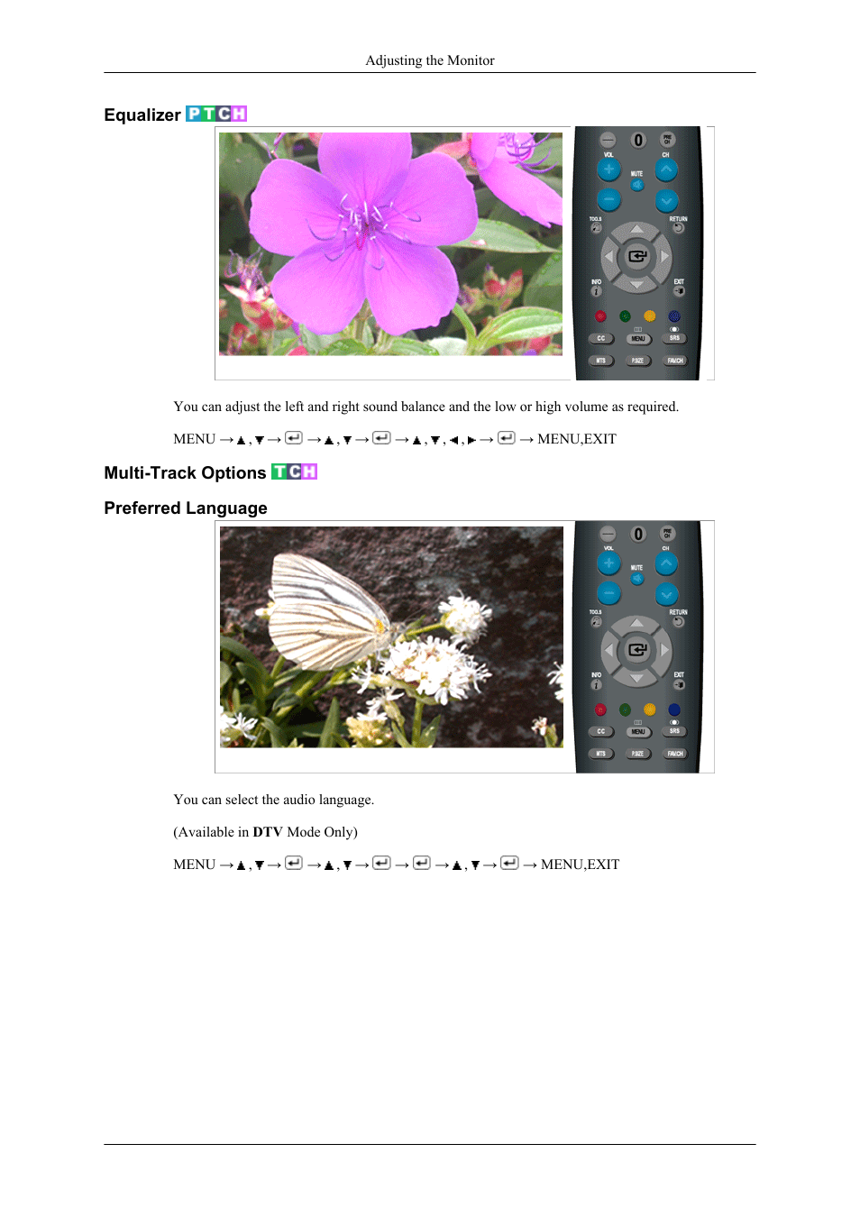 Equalizer, Multi-track options, Preferred language | Samsung LS22TDNSUVD-ZA User Manual | Page 46 / 88