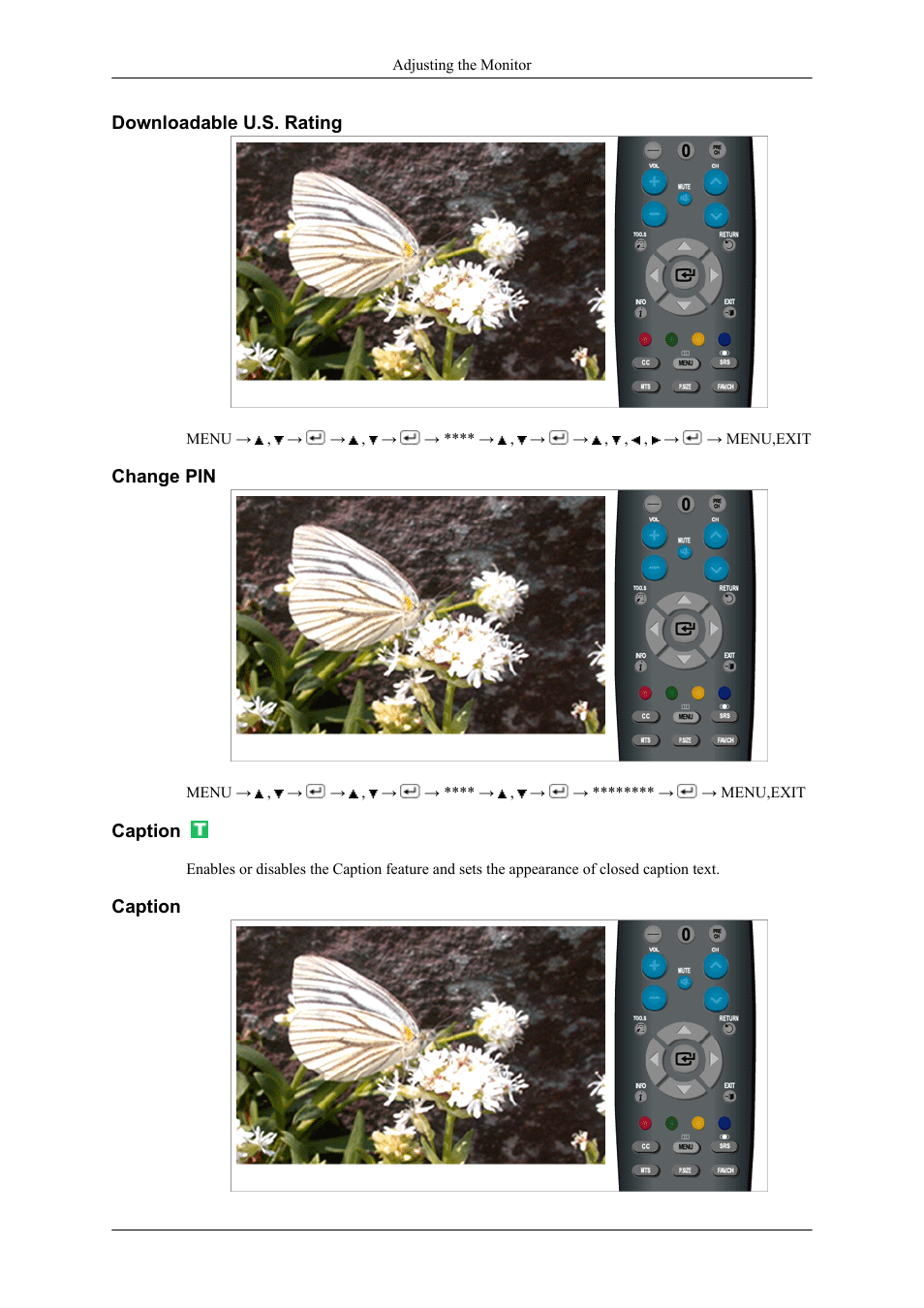 Downloadable u.s. rating, Change pin, Caption | Samsung LS22TDNSUVD-ZA User Manual | Page 59 / 88