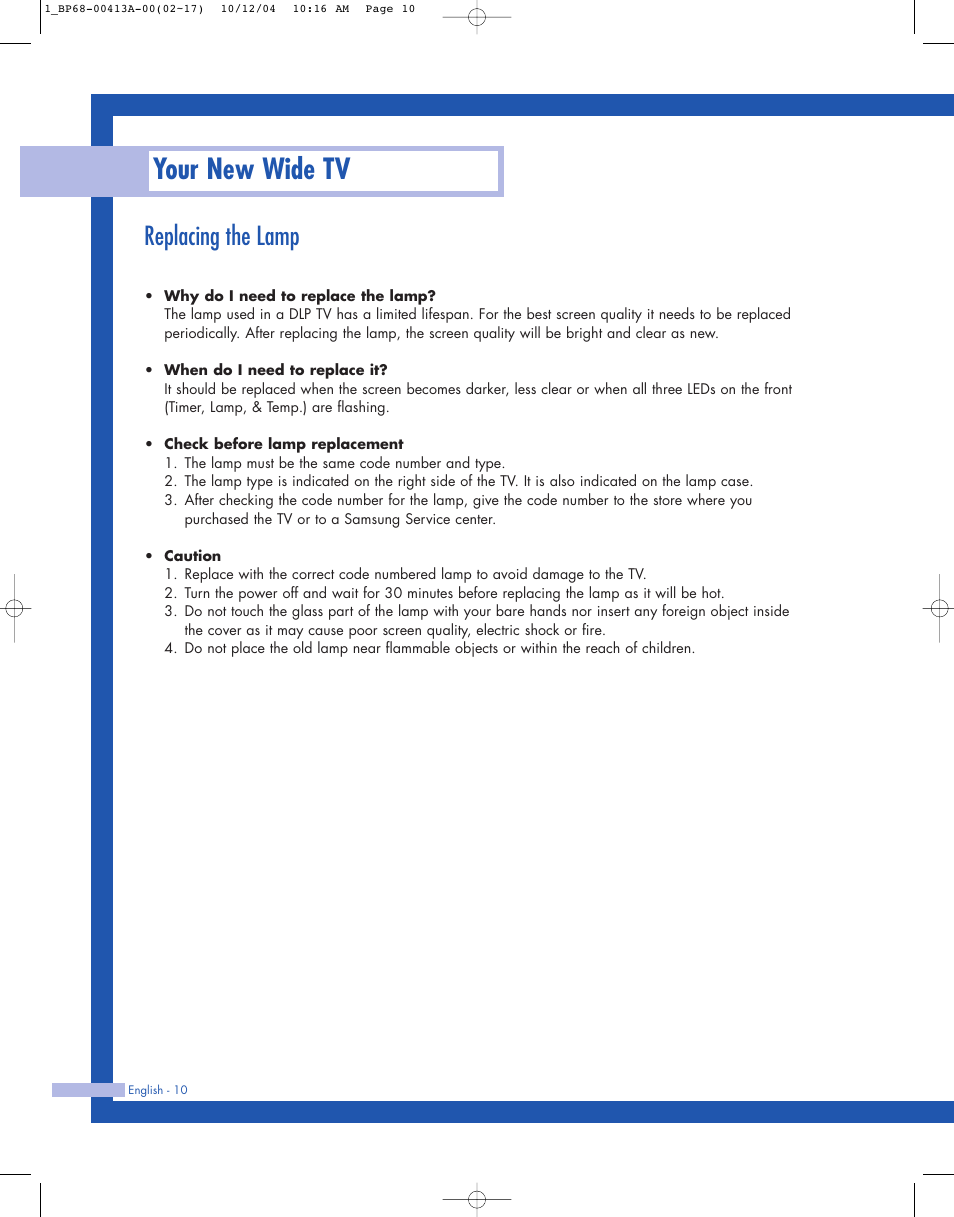 Replacing the lamp, Your new wide tv | Samsung HLP4667WX-XAA User Manual | Page 10 / 102