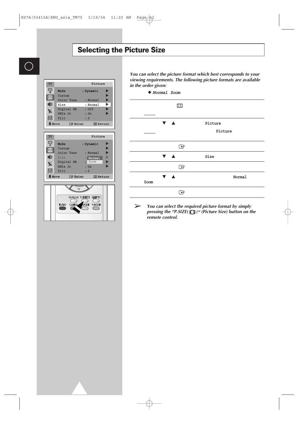 Selecting the picture size | Samsung TXR2735X-XAA User Manual | Page 21 / 47