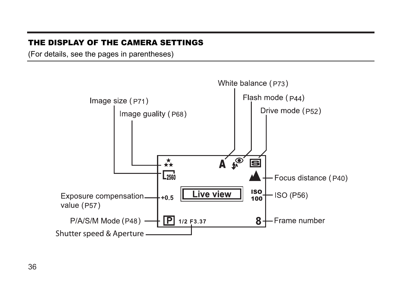 Argus Camera DC3810 User Manual | Page 36 / 164