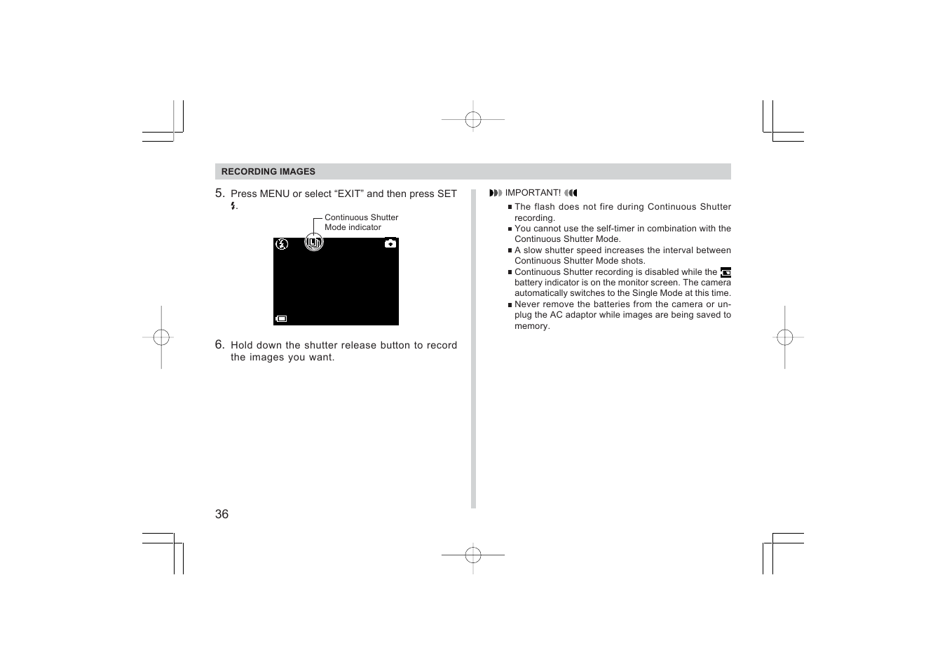 Argus Camera RW-1 User Manual | Page 36 / 91