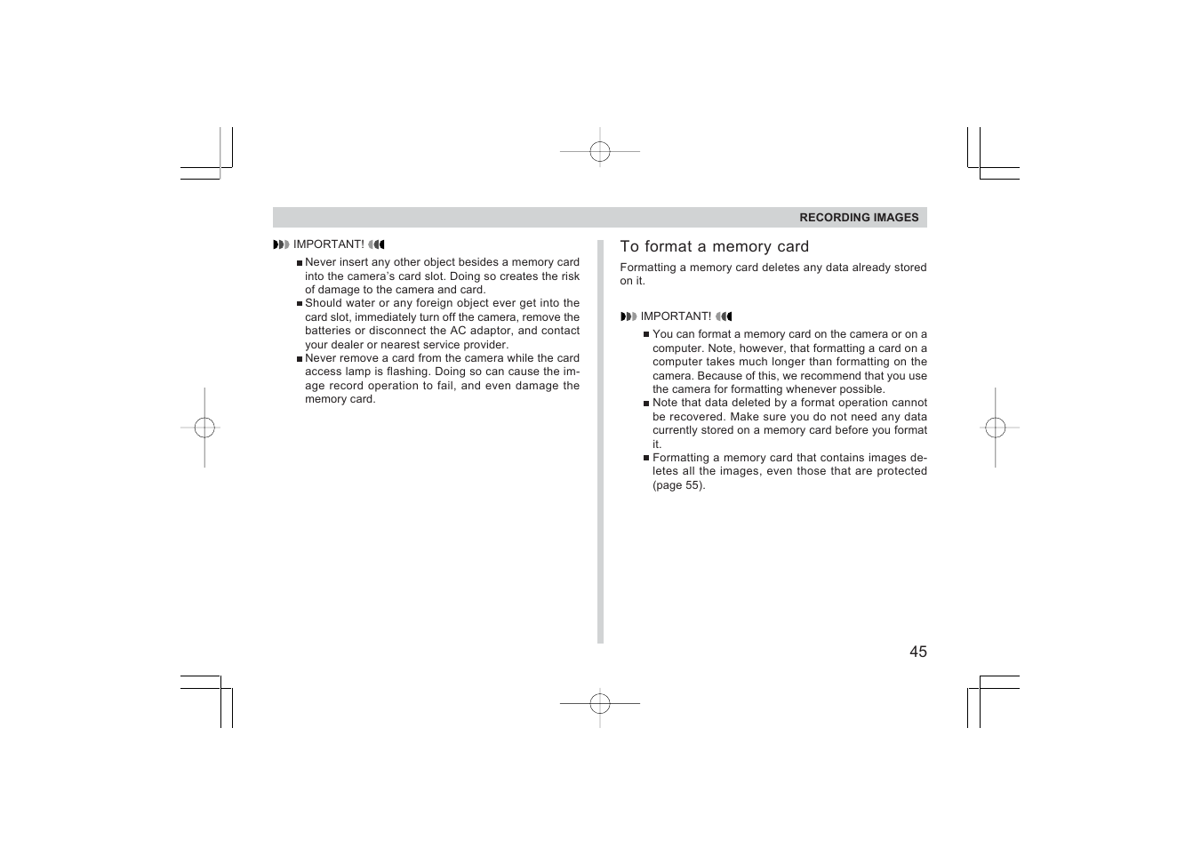 Argus Camera RW-1 User Manual | Page 45 / 91