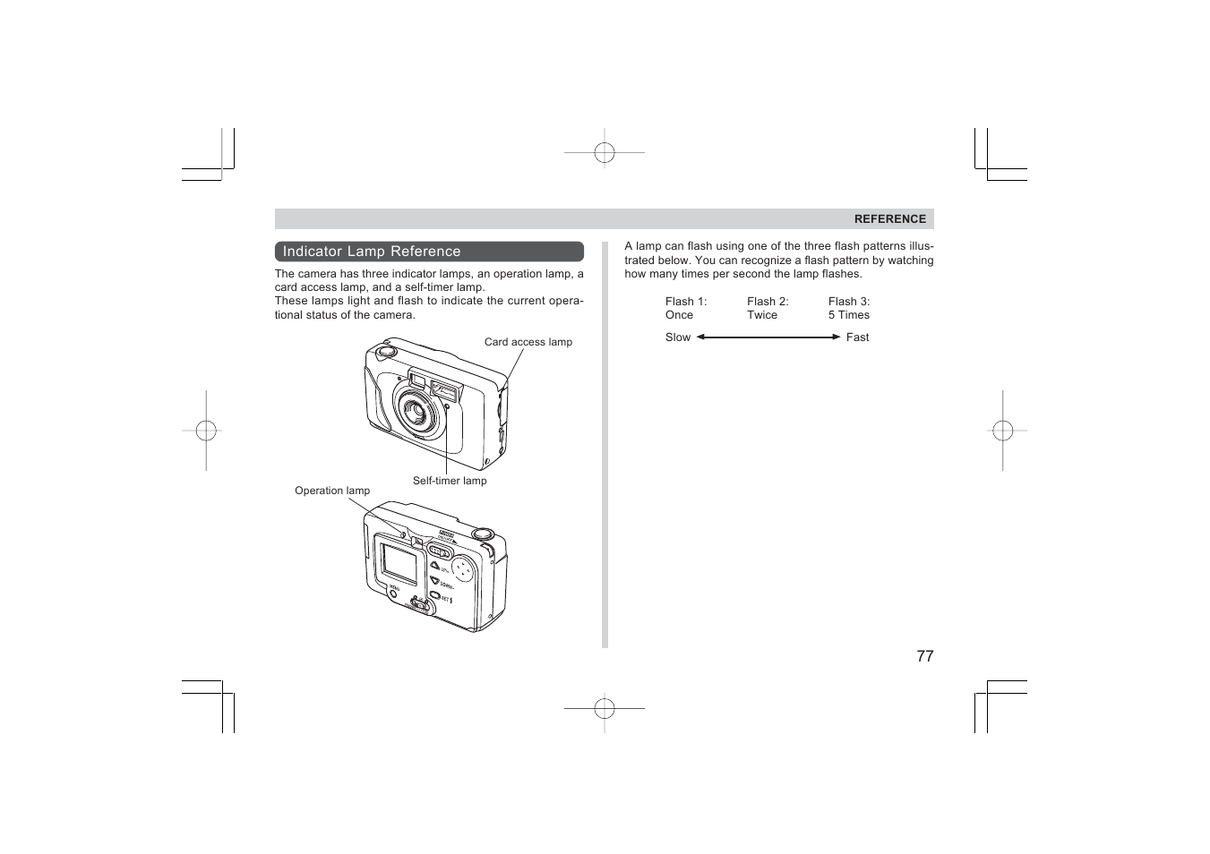 Argus Camera RW-1 User Manual | Page 77 / 91