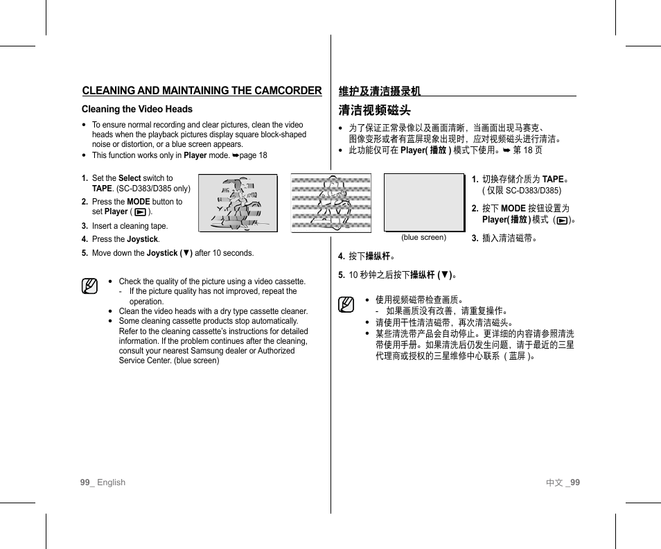 清洁视频磁头 | Samsung SC-D382-XAA User Manual | Page 103 / 111