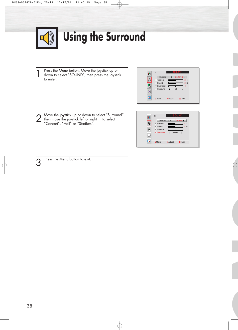 Using the surround | Samsung SPL4225DX-XAC User Manual | Page 38 / 72