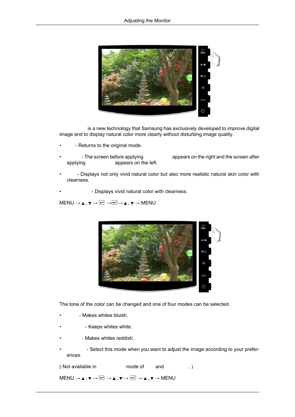 Magiccolor, Color tone | Samsung LS17CMNSFLZD User Manual | Page 45 / 81