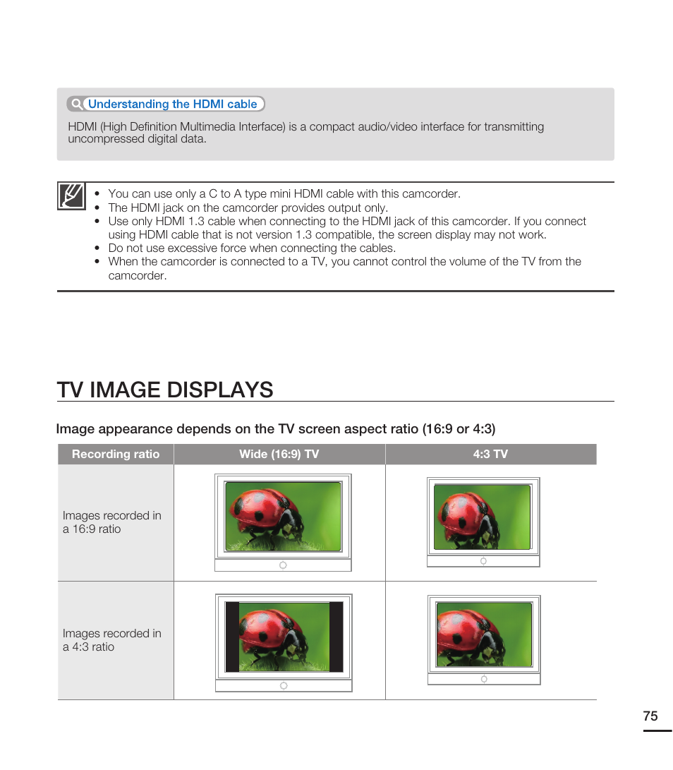 Tv image displays | Samsung HMX-E10ON-XAA User Manual | Page 85 / 98