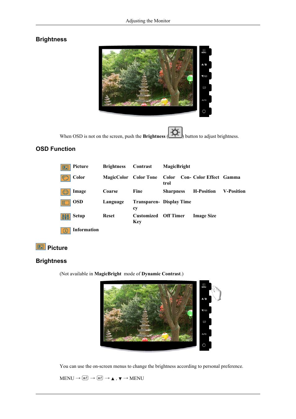 Brightness, Osd function, Picture | Samsung LS19CMYKF-ZA User Manual | Page 31 / 59