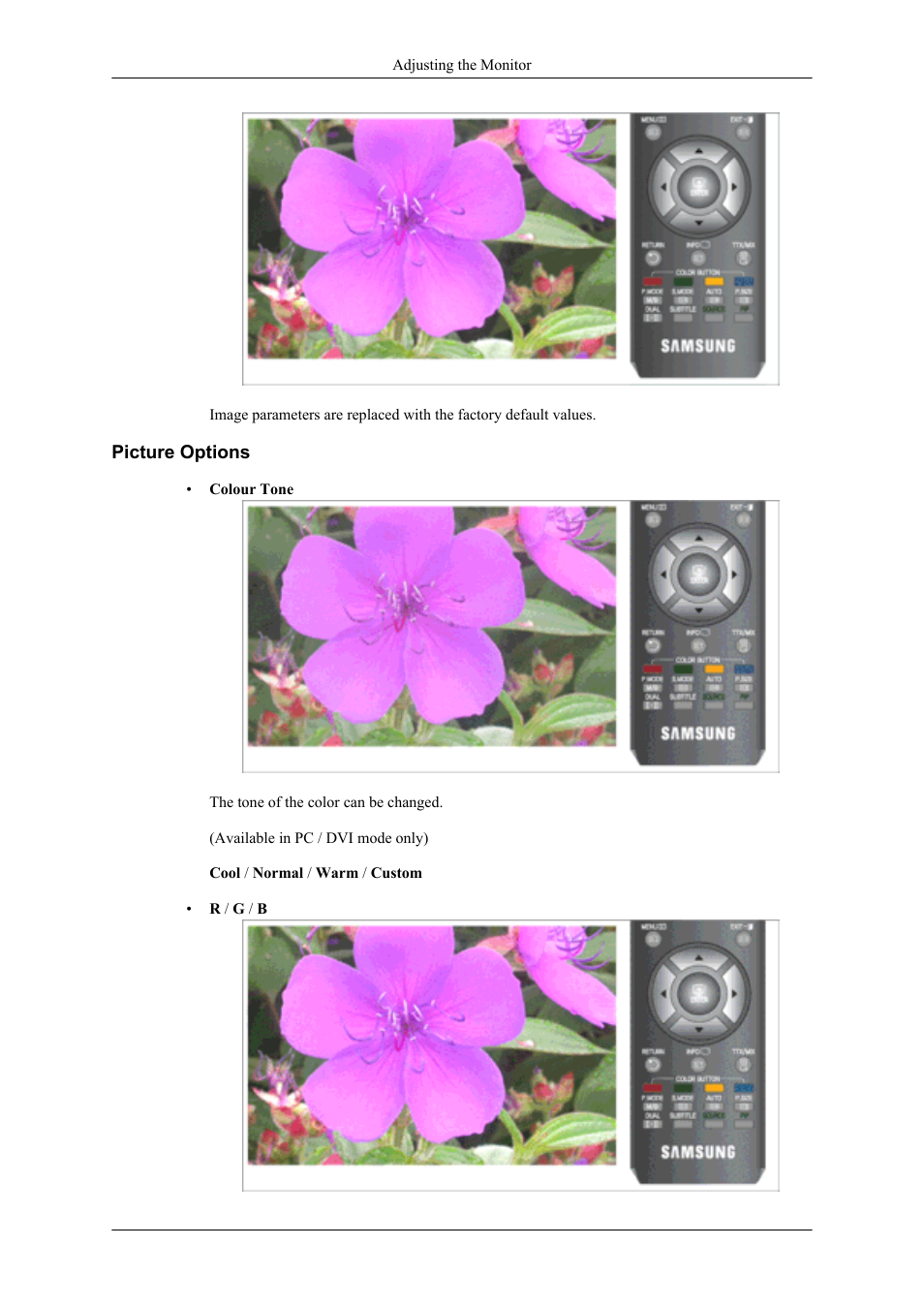 Picture options | Samsung LS20TDNSUV-ZA User Manual | Page 39 / 80