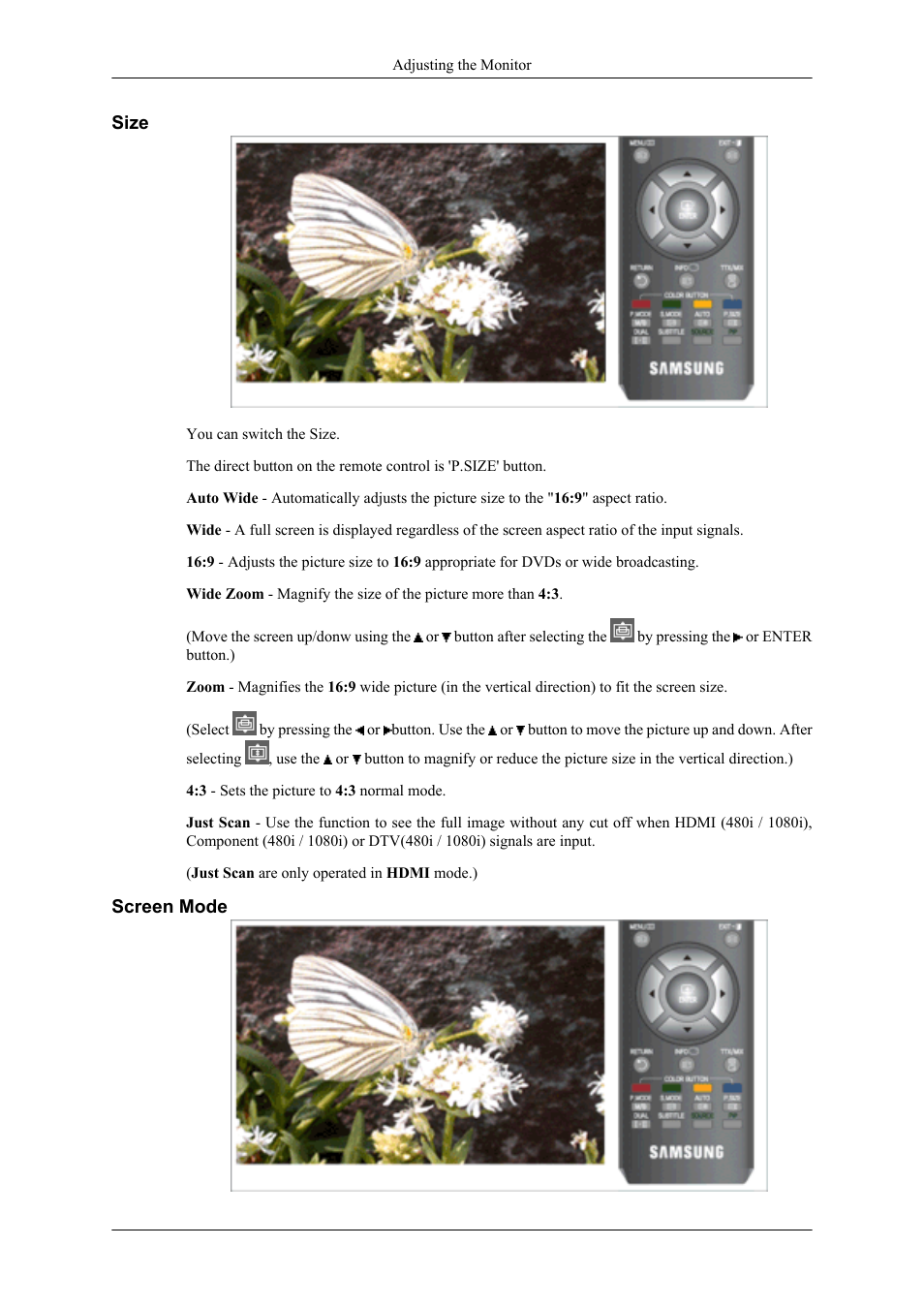 Size, Screen mode | Samsung LS20TDNSUV-ZA User Manual | Page 43 / 80