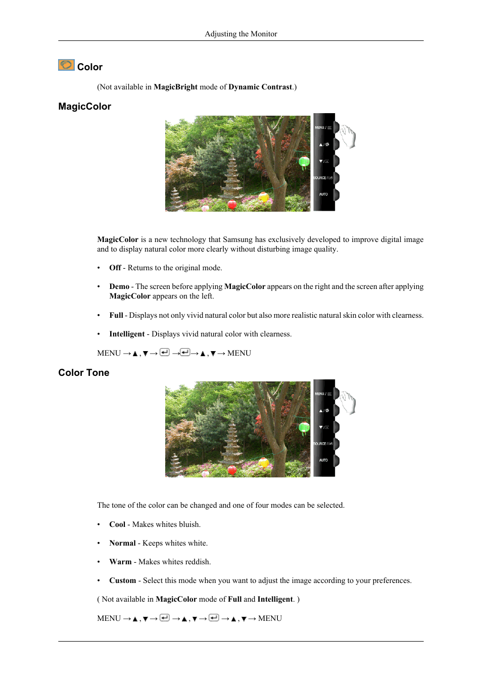 Color, Magiccolor, Color tone | Samsung LS26TWHSUV-ZA User Manual | Page 40 / 69