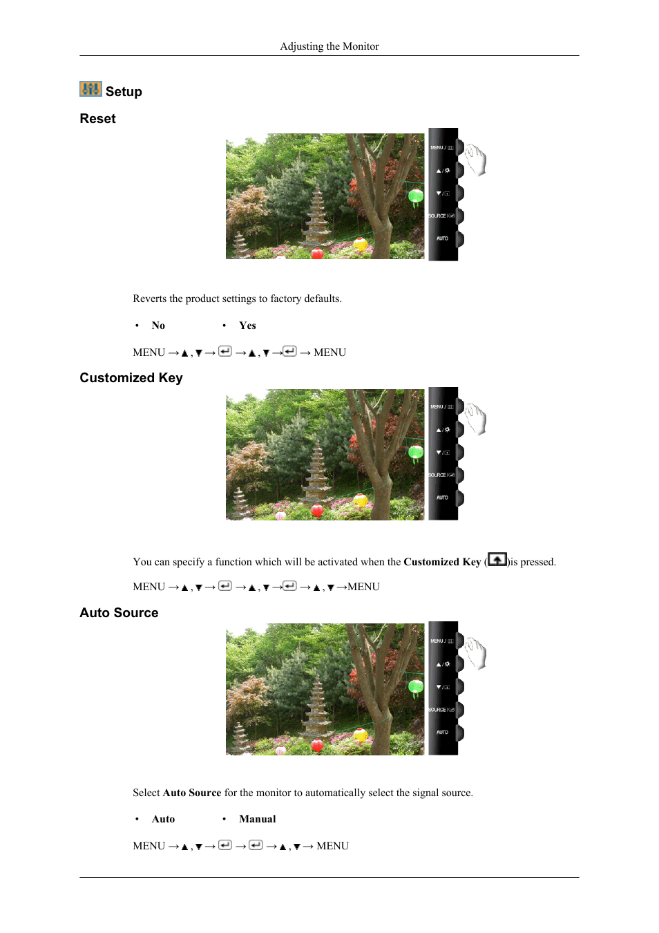 Setup, Reset, Customized key | Auto source | Samsung LS26TWHSUV-ZA User Manual | Page 46 / 69