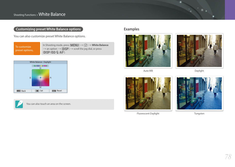 Customizing preset white balance options, White balance, Examples | Samsung EV-NX300MBSTUS User Manual | Page 79 / 203