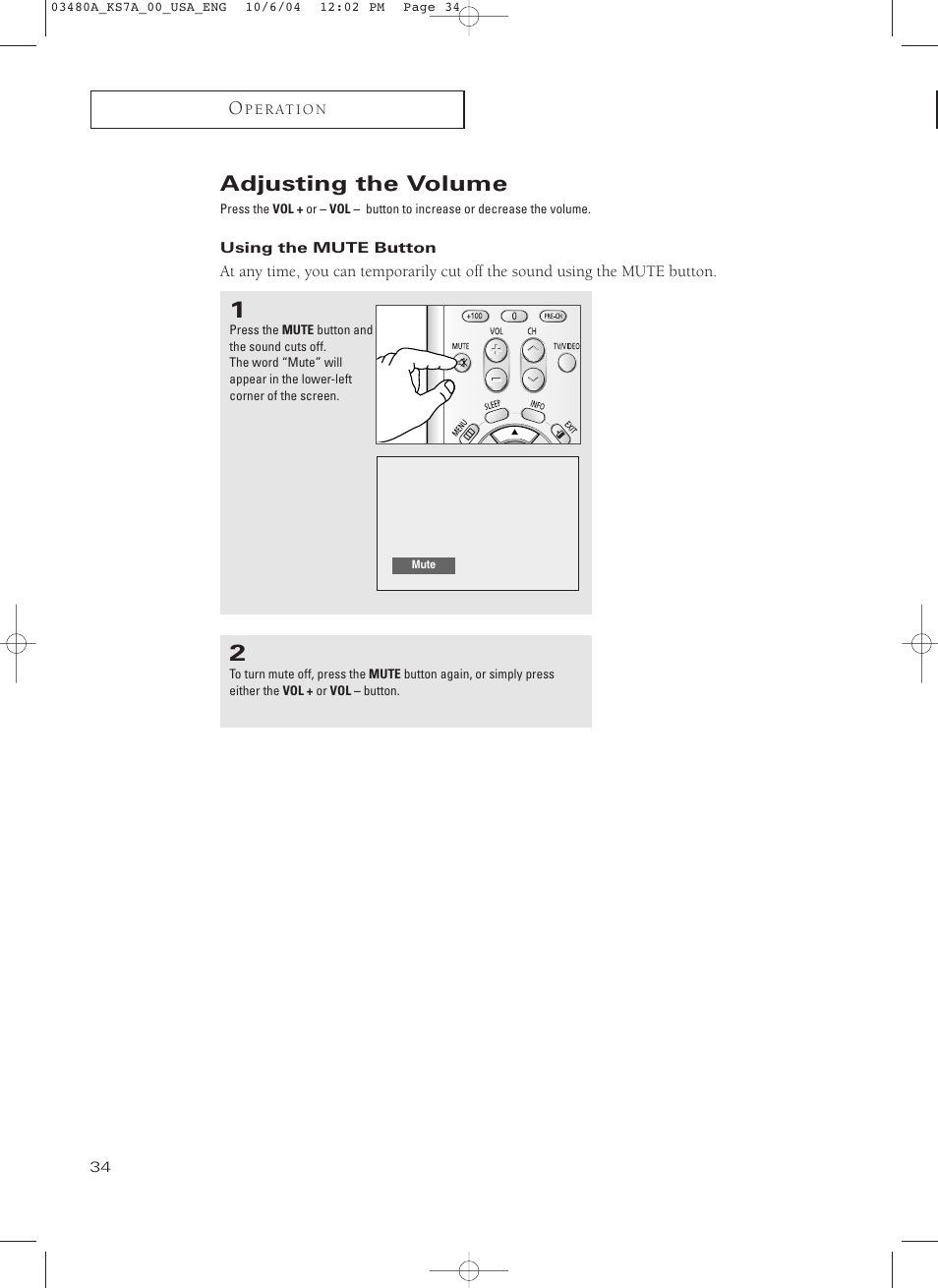 Adjusting the volume, Using the mute button | Samsung TXP2730S-XAA User Manual | Page 34 / 63