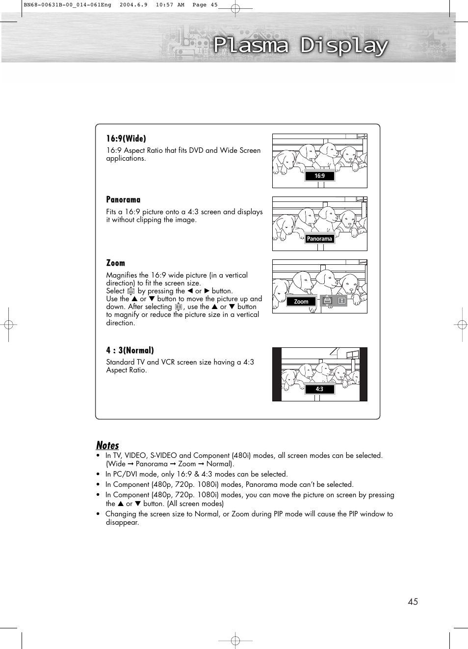 Samsung SPP4231KX-XAA User Manual | Page 45 / 104