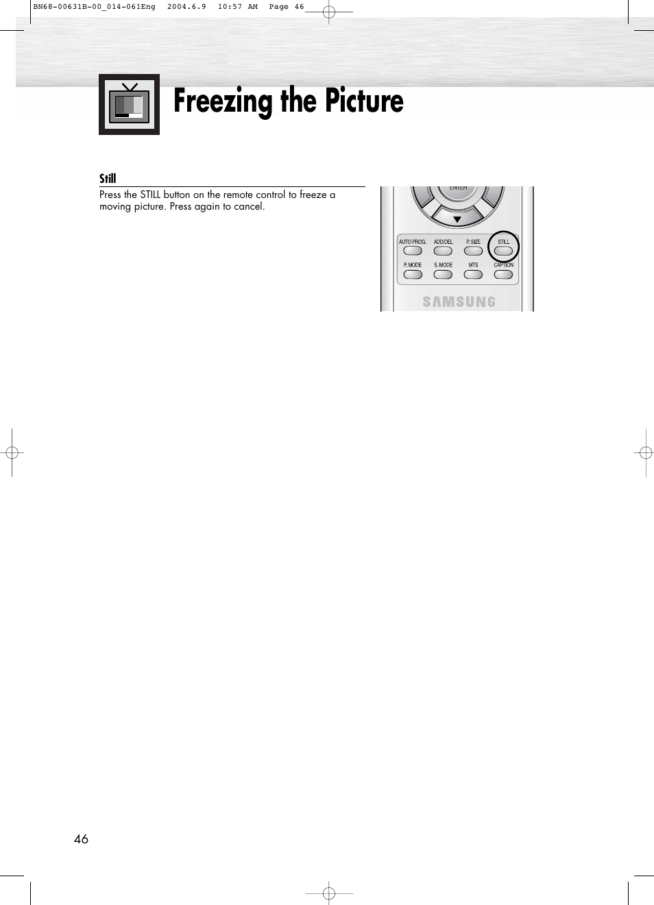 Freezing the picture | Samsung SPP4231KX-XAA User Manual | Page 46 / 104