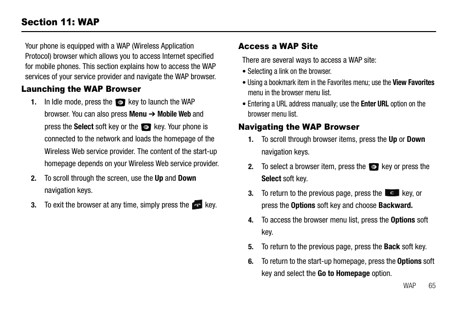 Section 11: wap, Launching the wap browser, Access a wap site | Navigating the wap browser | Samsung SGH-A107ZSAATT User Manual | Page 69 / 105