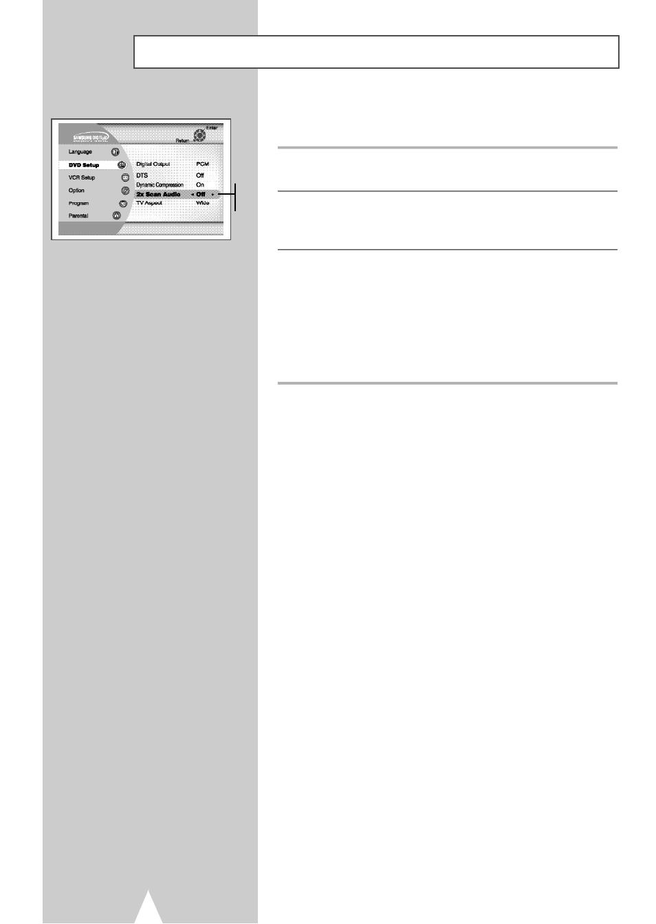 2x scan audio | Samsung DVDV2500V-XAA User Manual | Page 30 / 67