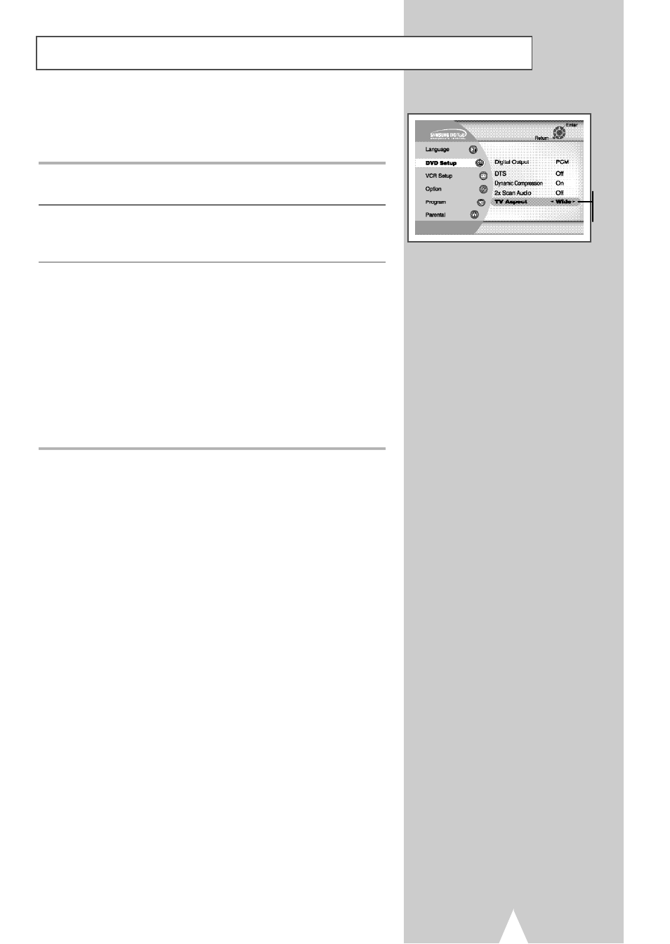 Tv aspect ratio | Samsung DVDV2500V-XAA User Manual | Page 31 / 67