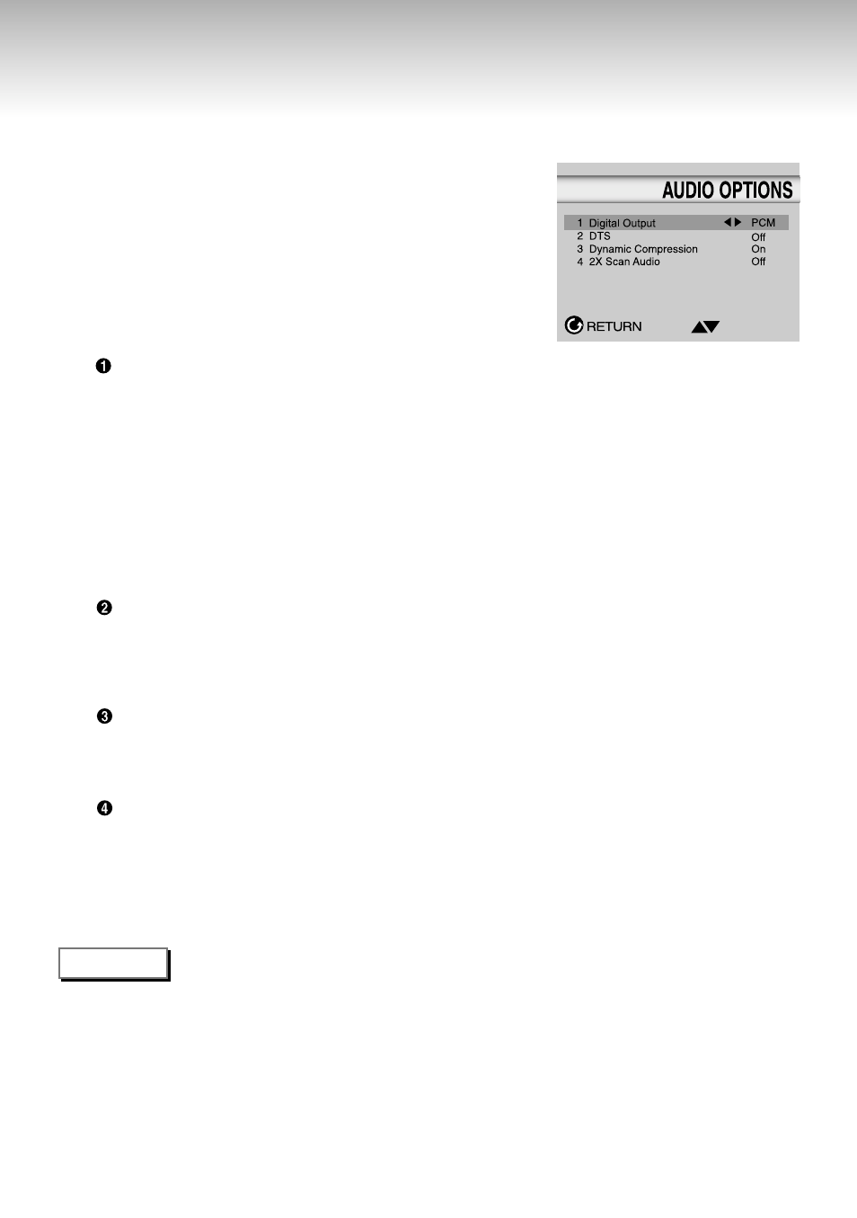 Setting up the audio options | Samsung DVD-S321-XAA User Manual | Page 44 / 50