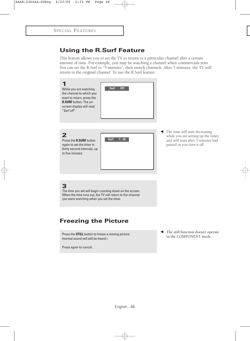 Using the r.surf feature, Freezing the picture | Samsung TXR2765X-XAA User Manual | Page 46 / 68