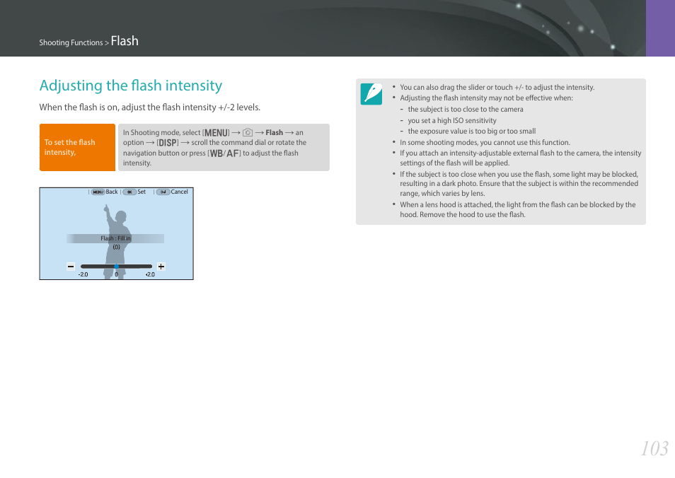 Adjusting the flash intensity, Flash | Samsung EV-NX30ZZBGBUS User Manual | Page 104 / 217