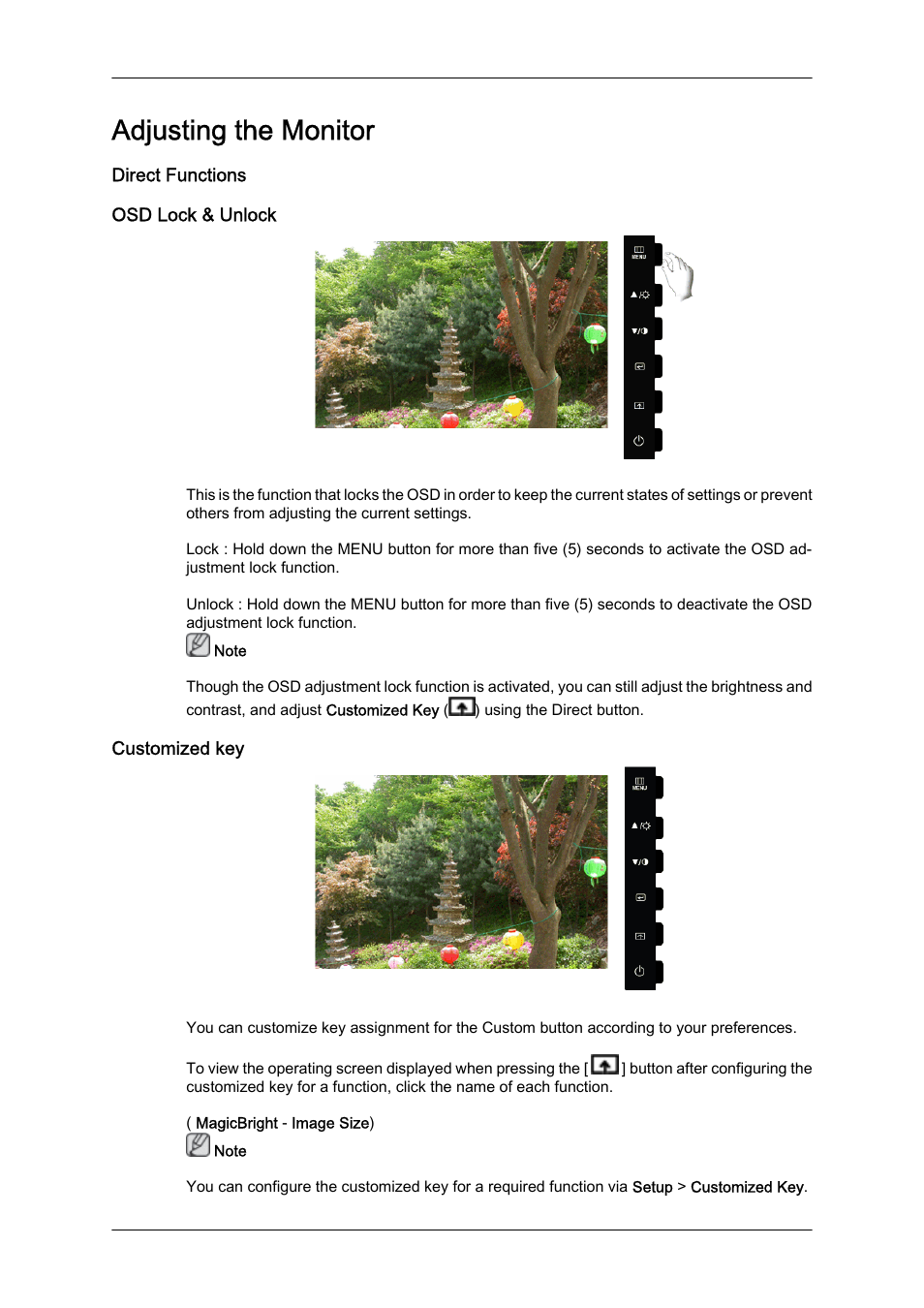 Adjusting the monitor, Direct functions, Osd lock & unlock | Customized key | Samsung LS22CMFKFV-ZA User Manual | Page 29 / 54