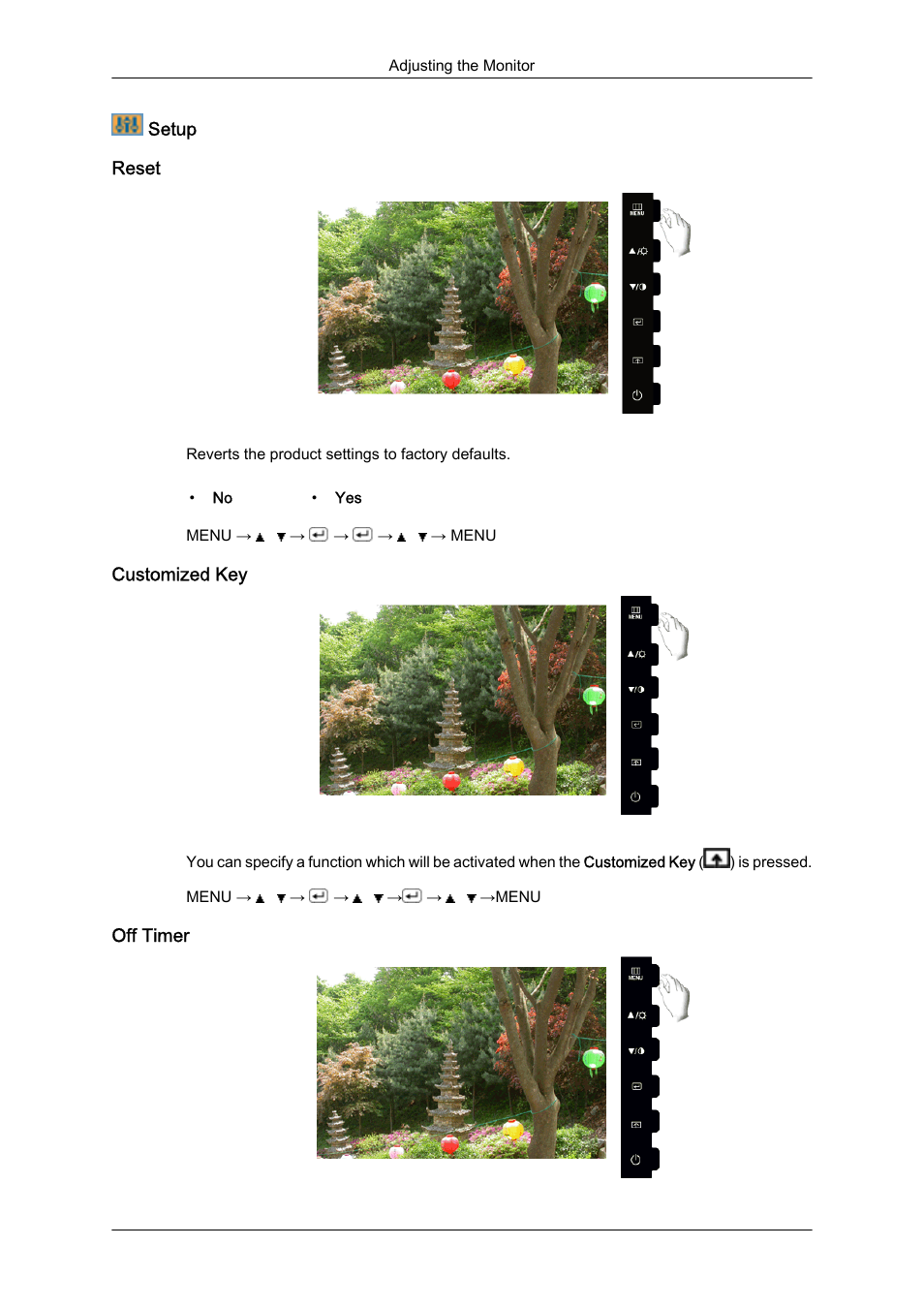 Setup, Reset, Customized key | Off timer | Samsung LS22CMFKFV-ZA User Manual | Page 36 / 54