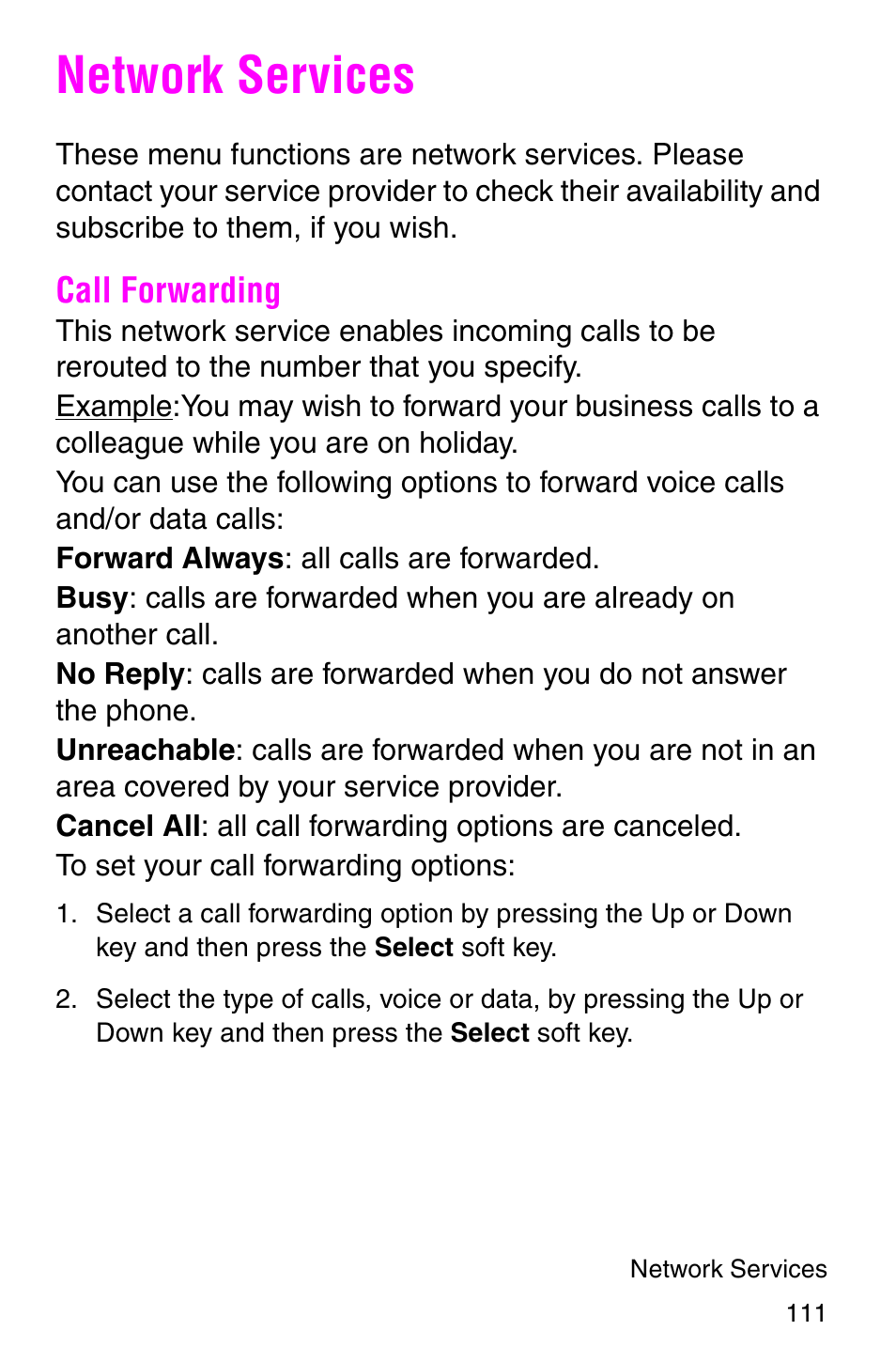 Network services, Call forwarding | Samsung SGH-E317CSACIN User Manual | Page 111 / 224