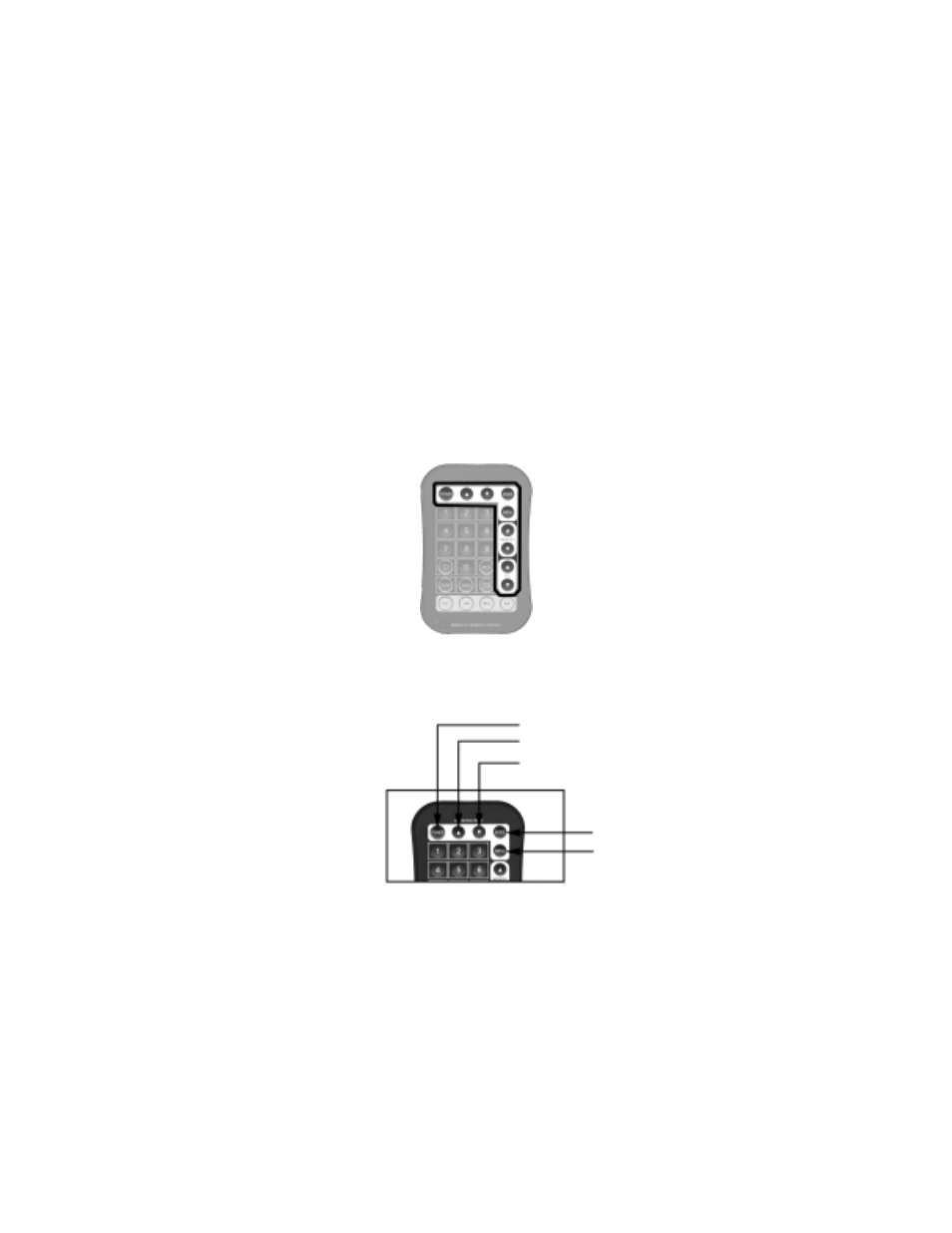 Remote controller, Functional remote controller keys | Audiovox LCM5043NP User Manual | Page 15 / 20