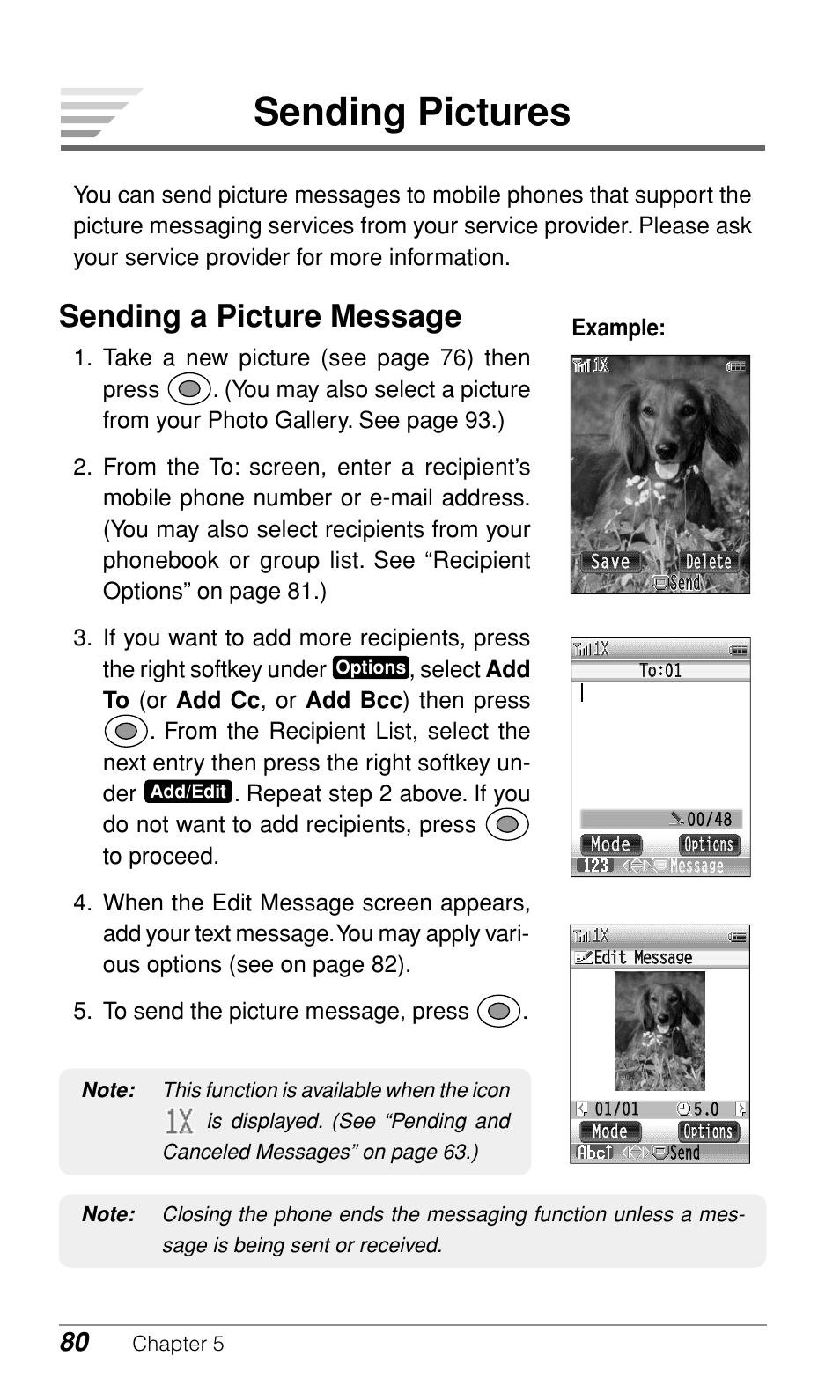 Sending pictures, Sending a picture message | Audiovox CDM-9900 User Manual | Page 82 / 162