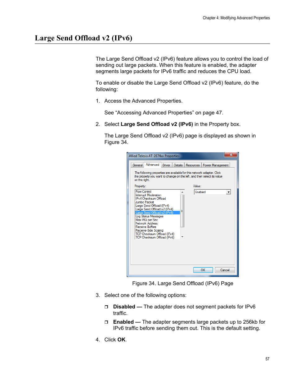 Large send offload v2 (ipv6) | Allied Telesis AT-2874SX User Manual | Page 57 / 84