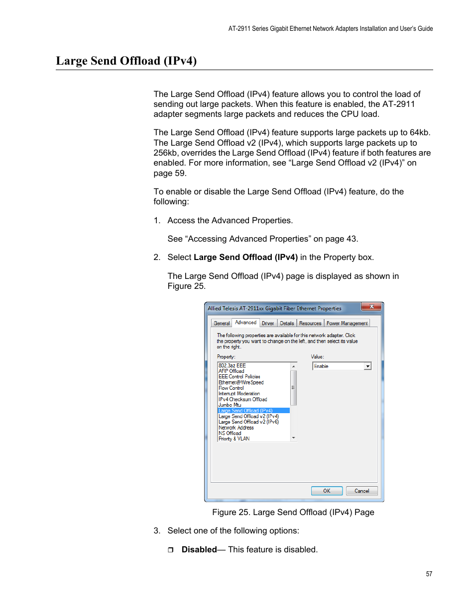 Large send offload (ipv4) | Allied Telesis AT-2911 Series Adapters User Manual | Page 57 / 120