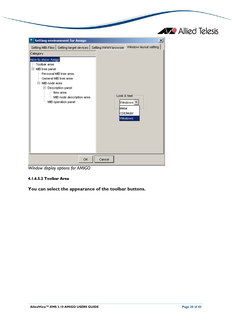 2 toolbar area, Window display options for amigo | Allied Telesis AlliedView-EMS 3.10 AMIGO User Manual | Page 30 / 43