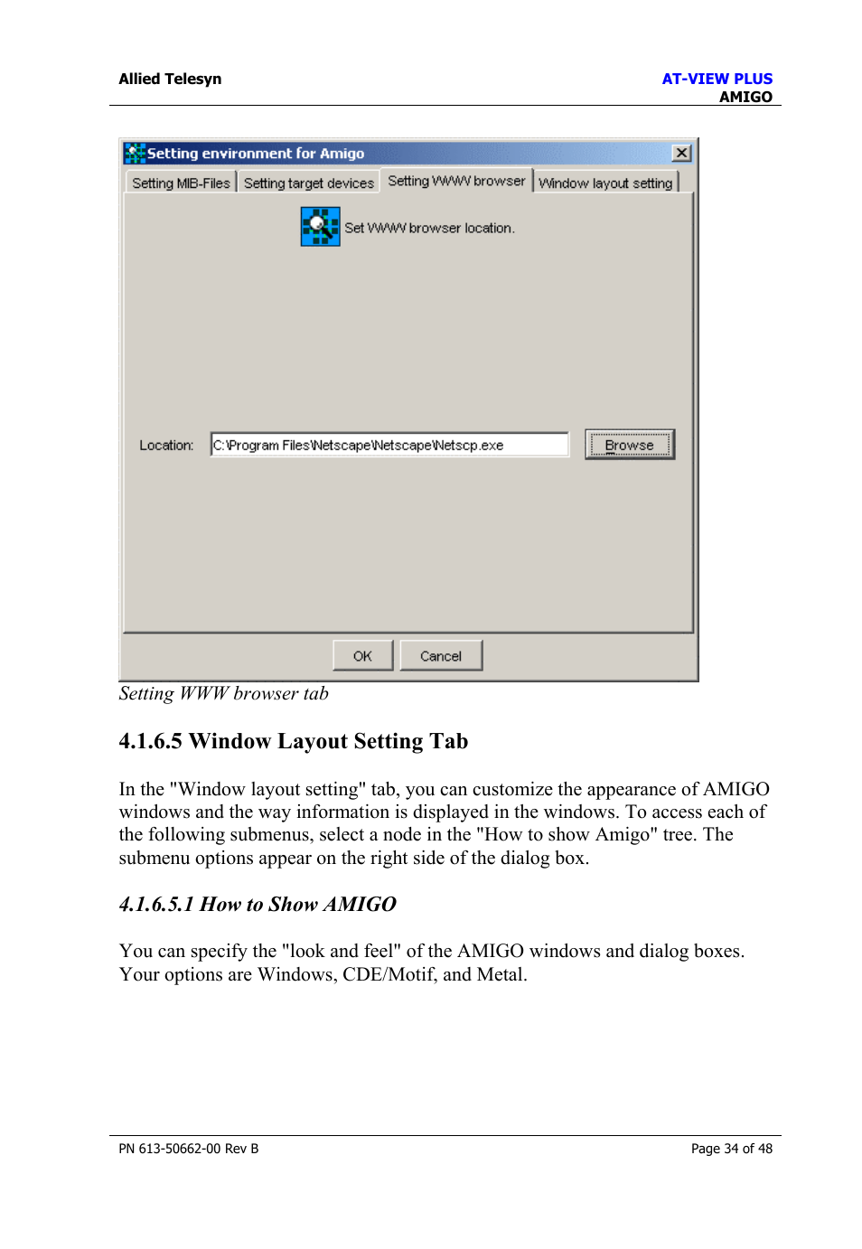5 window layout setting tab, 1 how to show amigo | Allied Telesis AT-VIEW PLUS 3.2 AMIGO User Manual | Page 34 / 48