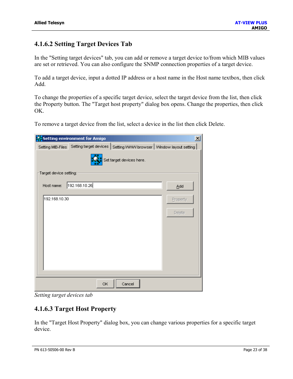 2 setting target devices tab, 3 target host property | Allied Telesis AT-VIEW PLUS 2.4 AMIGO User Manual | Page 23 / 38