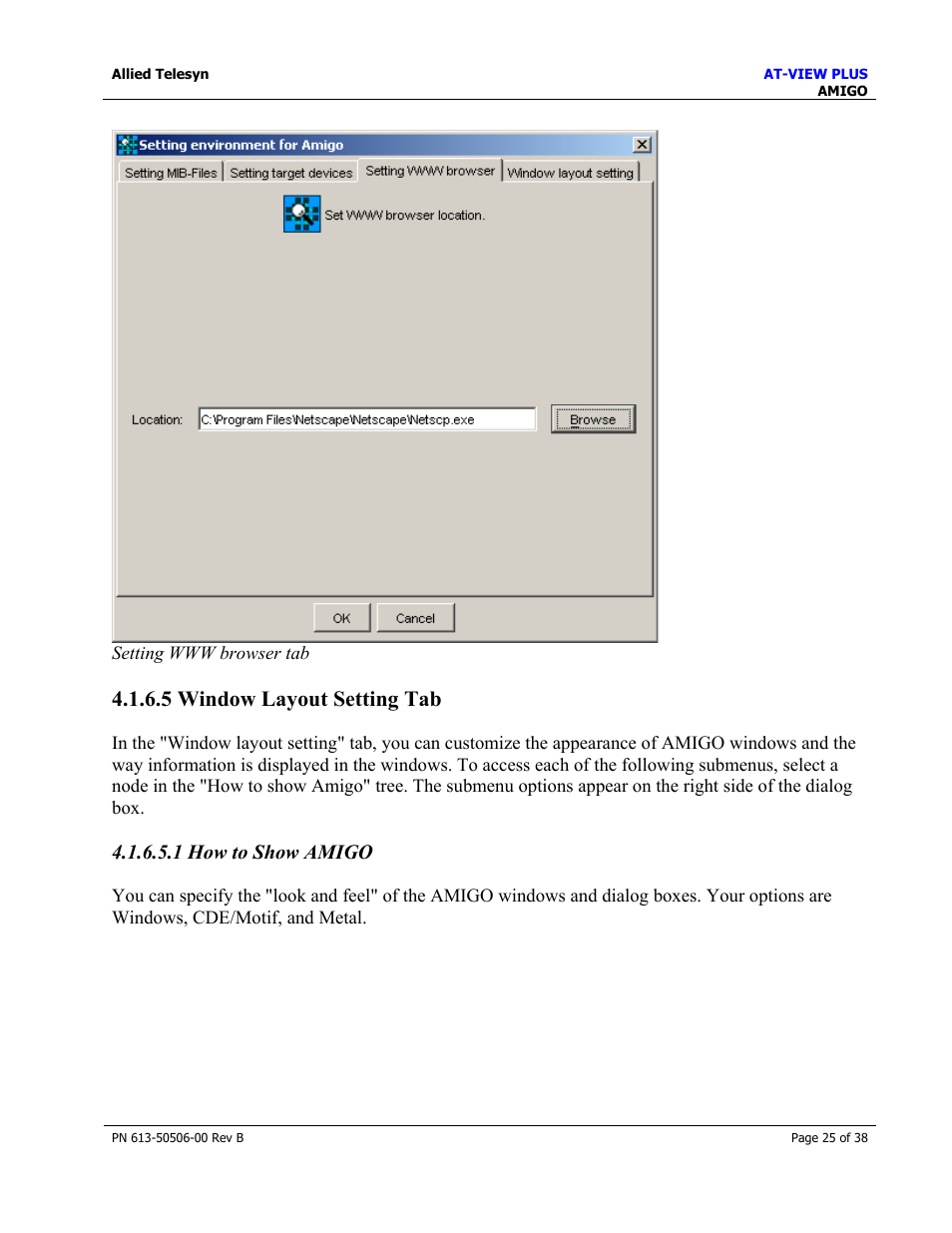 5 window layout setting tab, 1 how to show amigo | Allied Telesis AT-VIEW PLUS 2.4 AMIGO User Manual | Page 25 / 38