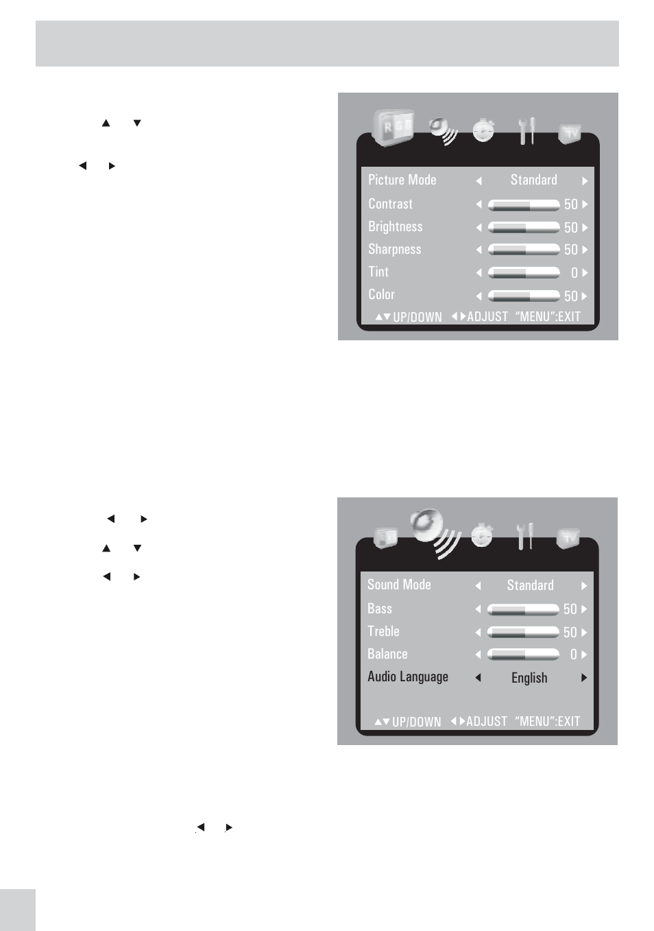 Tv setup | Audiovox PVS21090 User Manual | Page 14 / 24