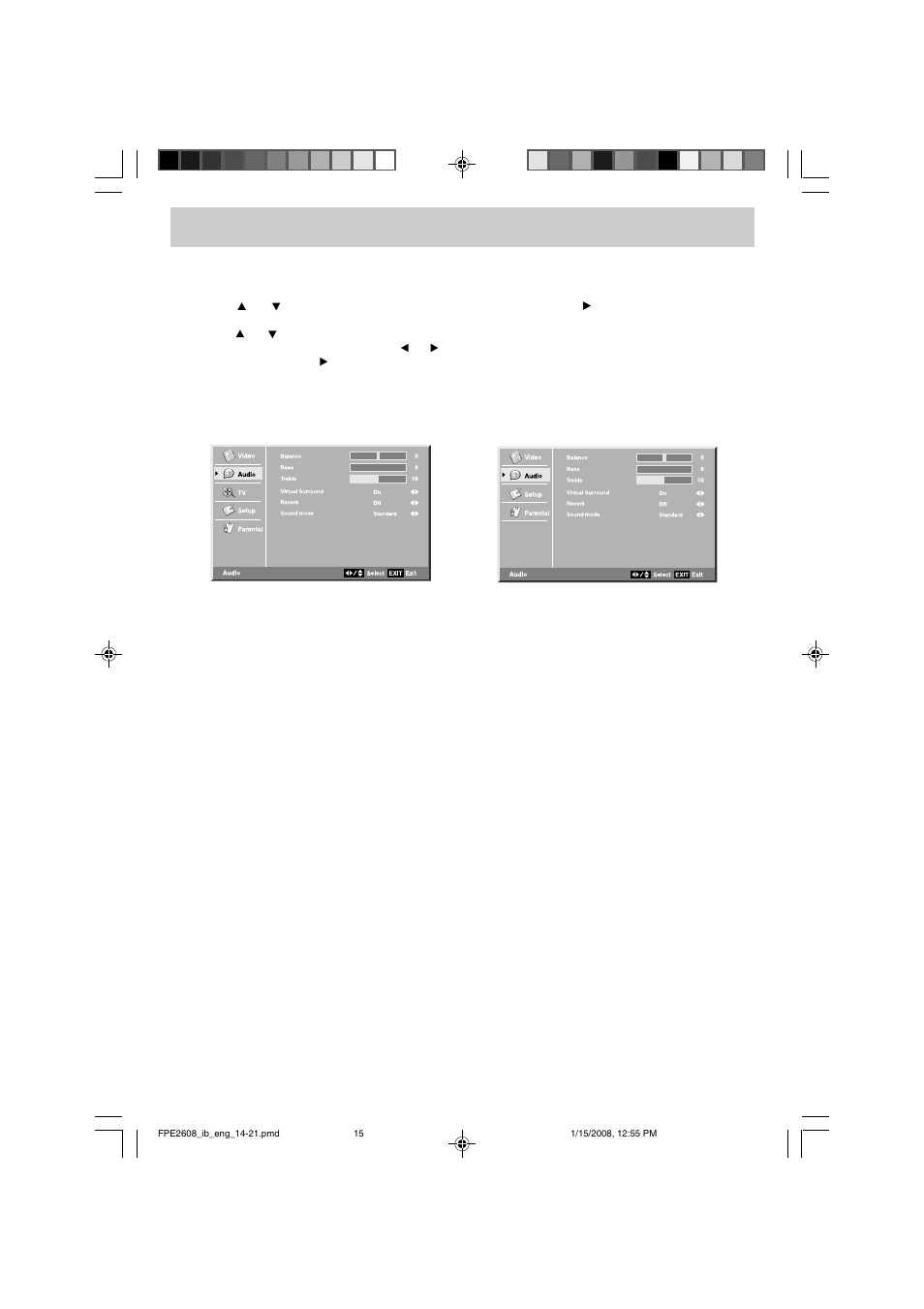 Tv setup, Audio menu | Audiovox FPE2608 User Manual | Page 16 / 22