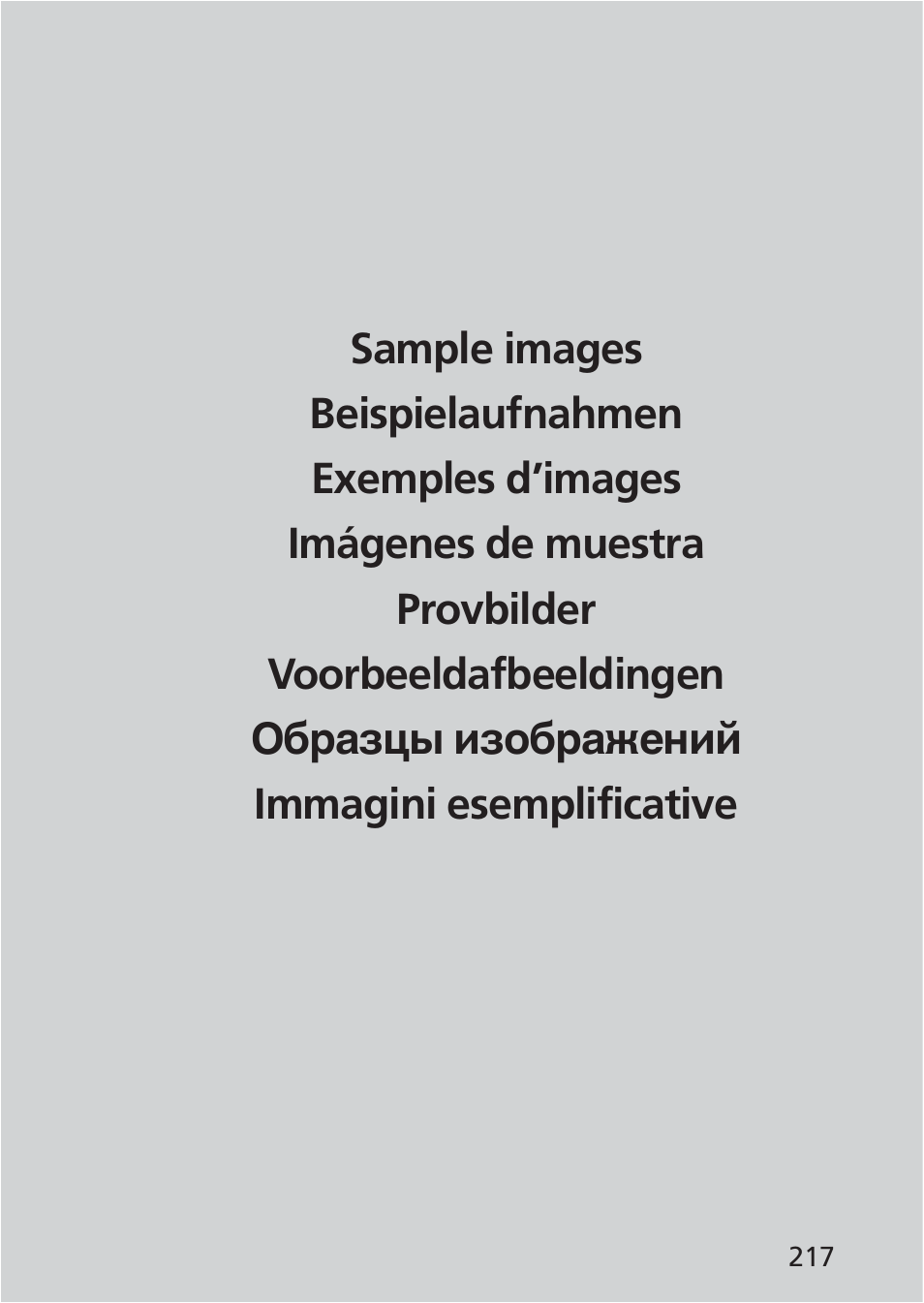 Nikon 85mm-f-28D-PC-E-Nikkor User Manual | Page 217 / 252