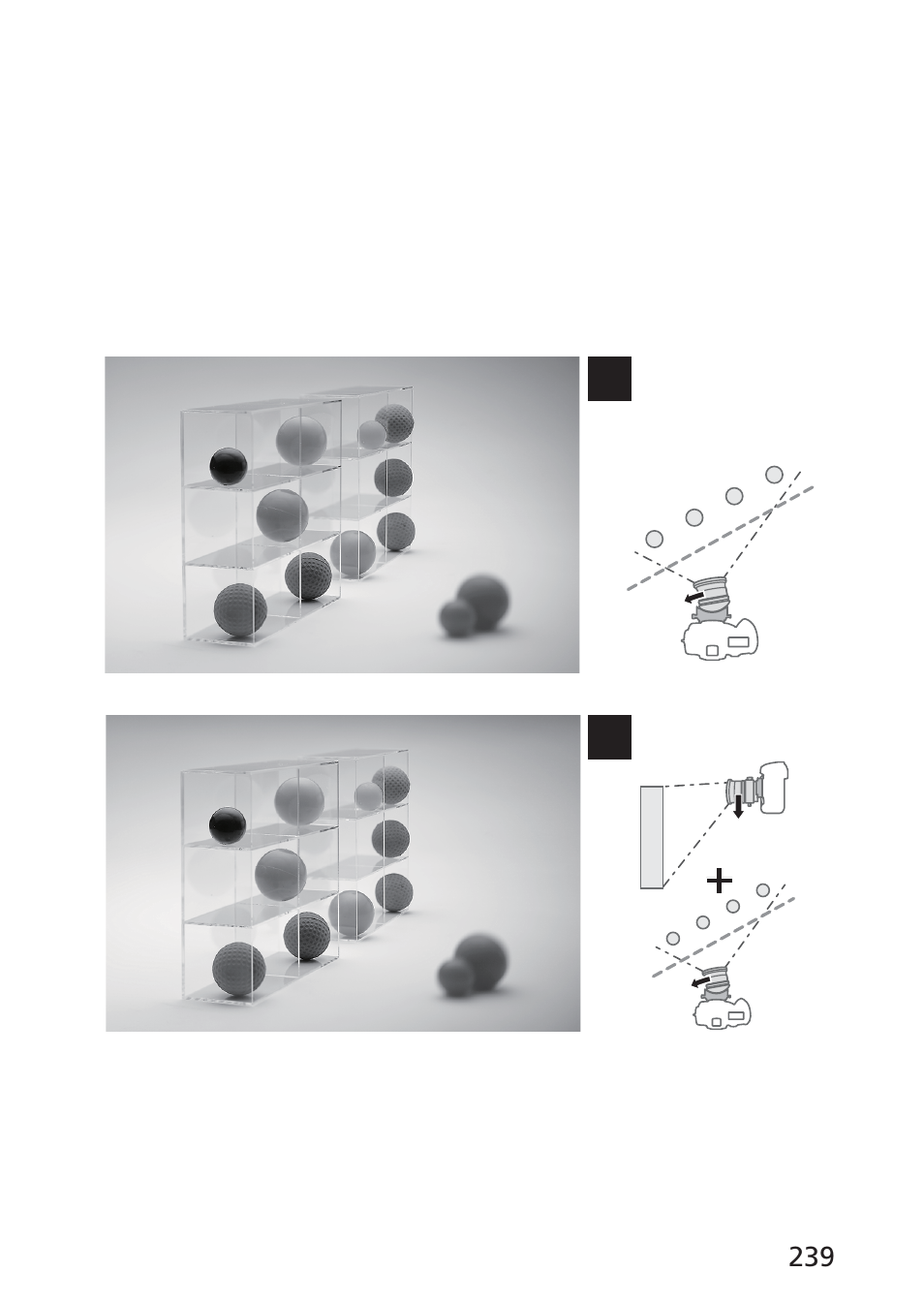 Nikon 85mm-f-28D-PC-E-Nikkor User Manual | Page 239 / 252