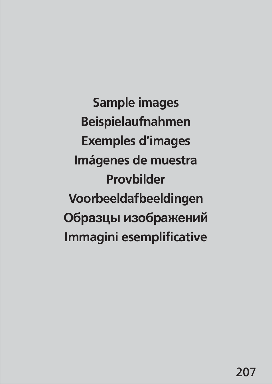Nikon 24mm-f-35D-PC-E-Nikkor User Manual | Page 207 / 236